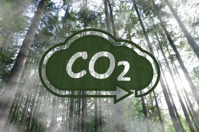 Image of Concept of clear air. CO2 inscription in illustration of cloud with arrow and beautiful green trees, low angle view
