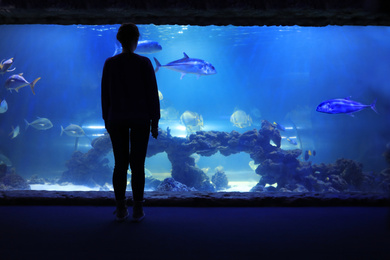 Photo of Silhouette of woman near large aquarium with fish