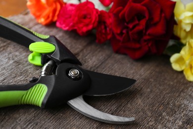 Photo of Secateur and beautiful roses on wooden table, closeup