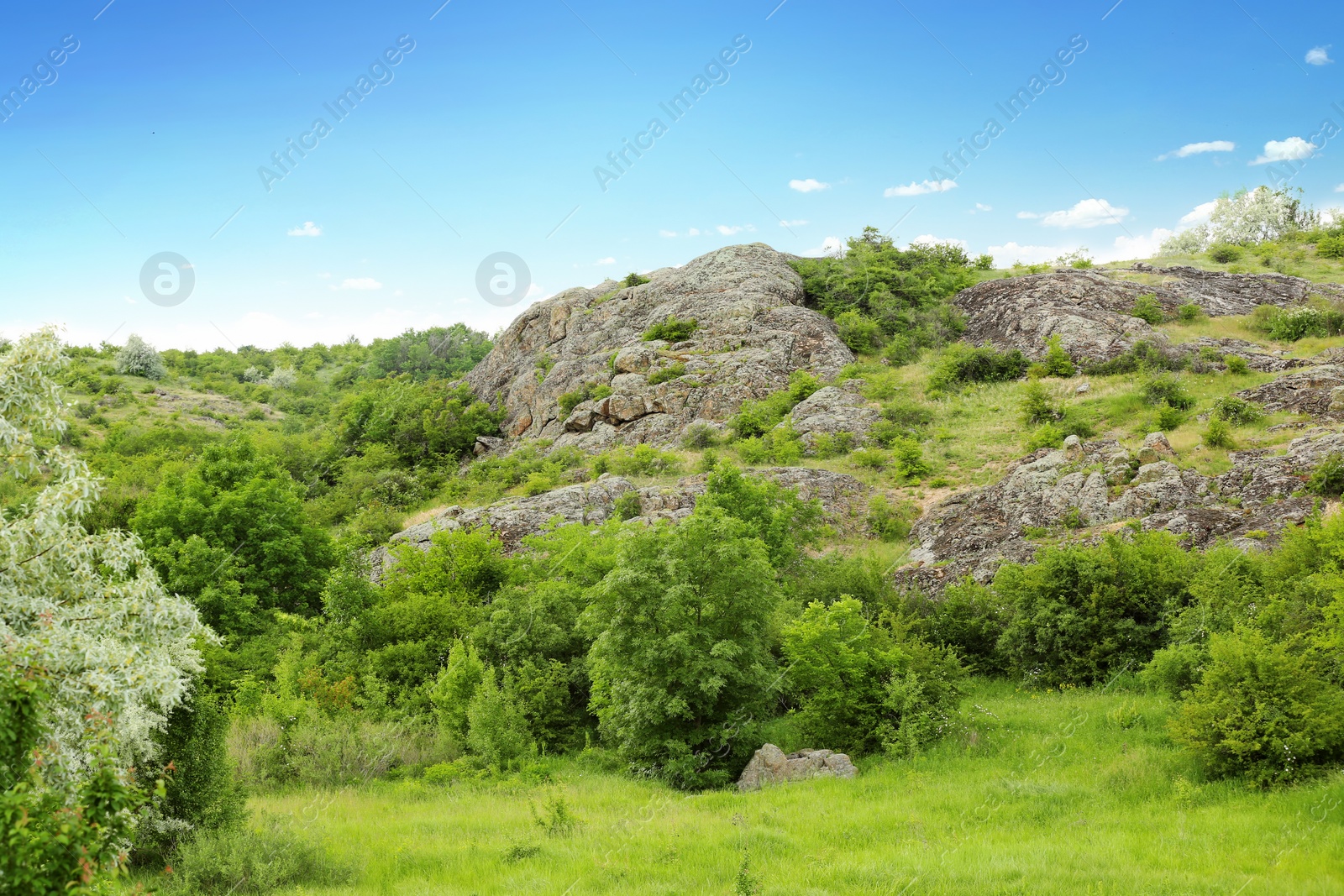 Photo of Picturesque landscape with rocky hill and green plants. Camping season