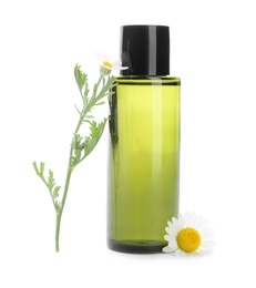 Photo of Chamomile flowers and bottle of cosmetic product on white background