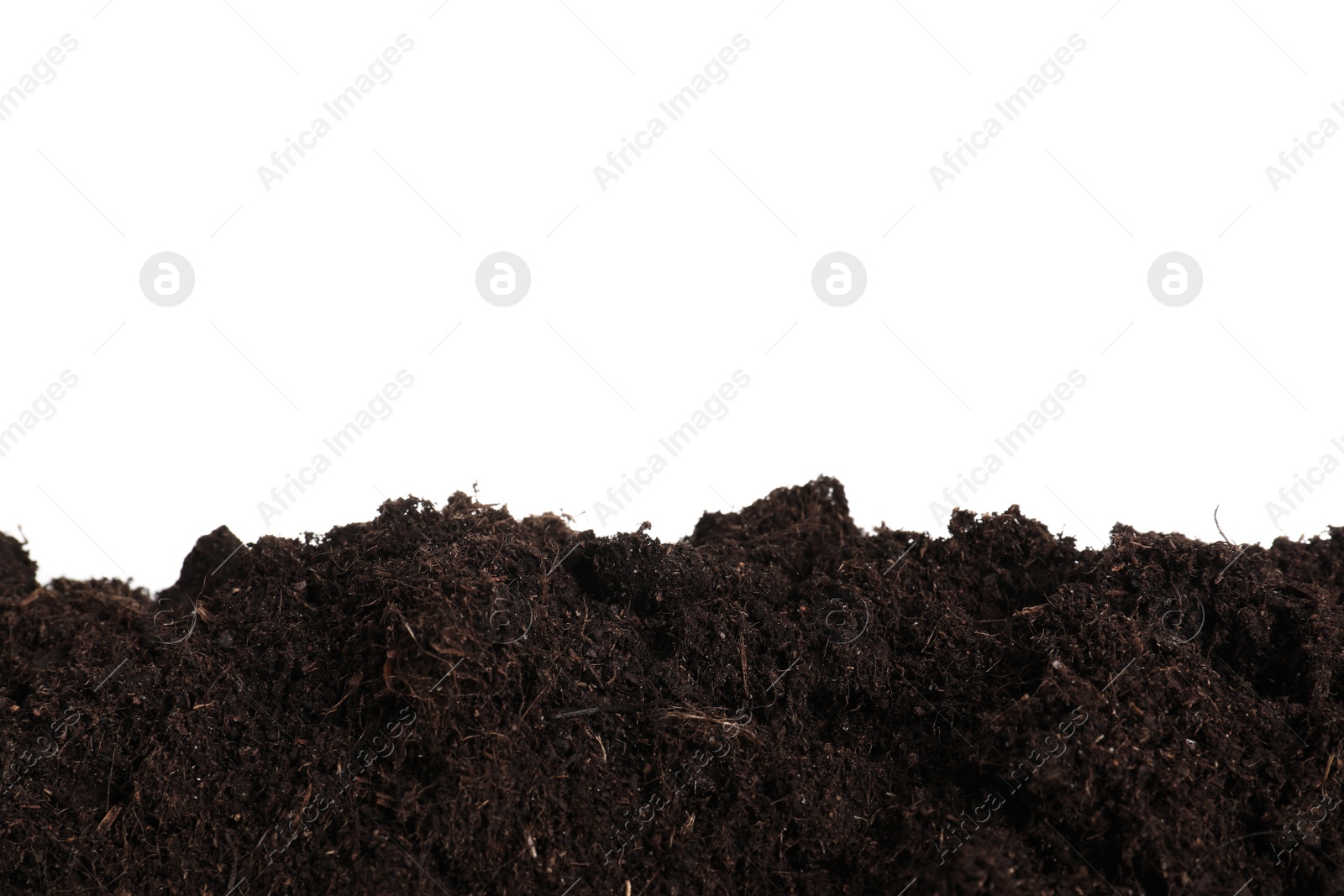 Photo of Layer of fresh soil isolated on white. Gardening time