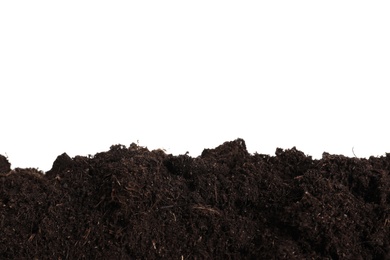 Photo of Layer of fresh soil isolated on white. Gardening time