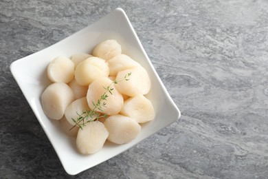 Photo of Fresh raw scallops and thyme in bowl on grey table, top view. Space for text