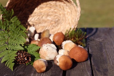 Photo of Overturned basket with mushrooms, fern leaves, cone and moss on wooden table outdoors