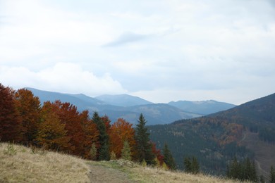 Picturesque view of beautiful mountains with autumn forest