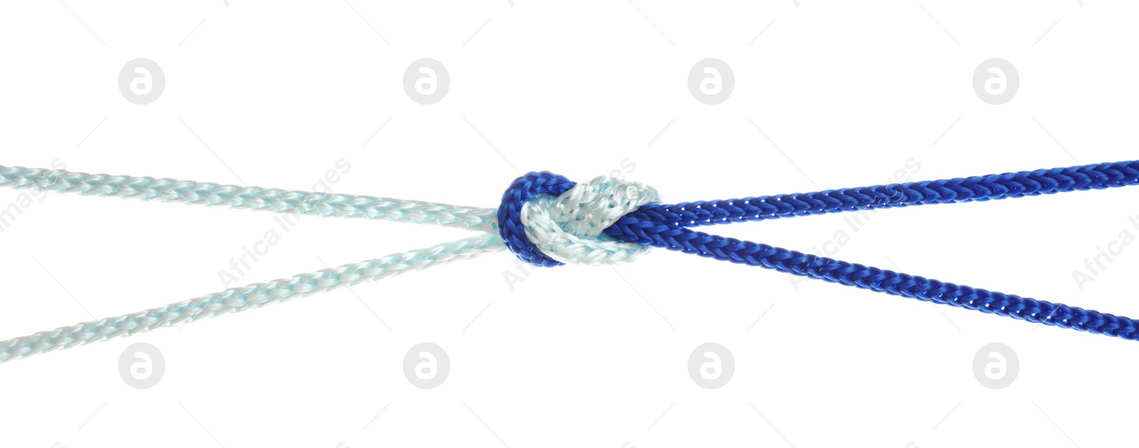 Photo of Colorful ropes tied together with knot isolated on white. Unity concept