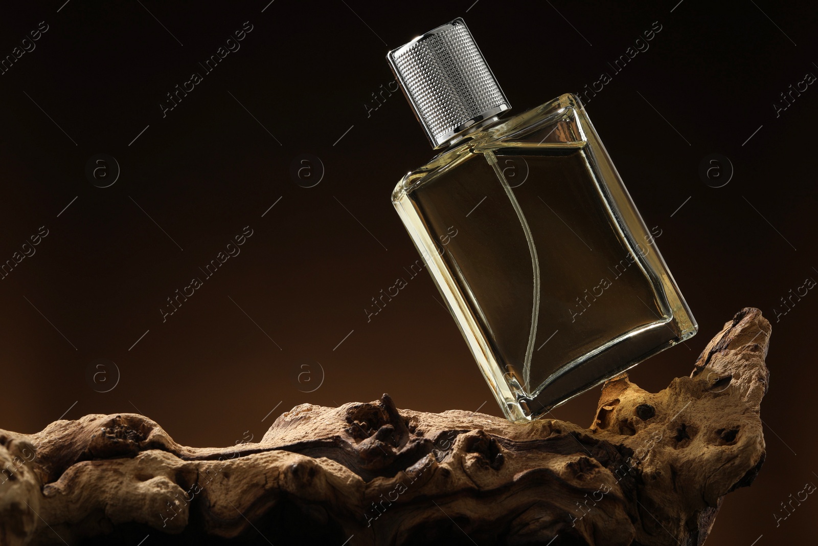 Photo of Luxury men`s perfume in bottle against brown background, space for text