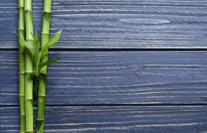 Photo of Green bamboo stems and space for text on wooden background, top view