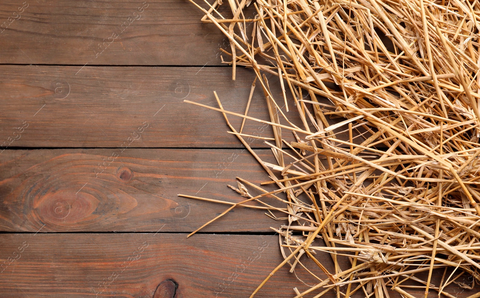 Photo of Dried straw on wooden table, top view. Space for text