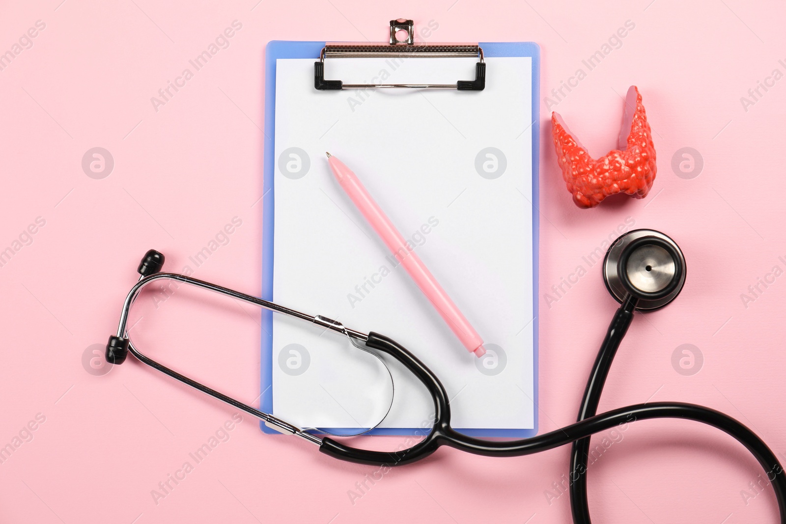 Photo of Endocrinology. Stethoscope, clipboard, model of thyroid gland and pen on pink background, flat lay