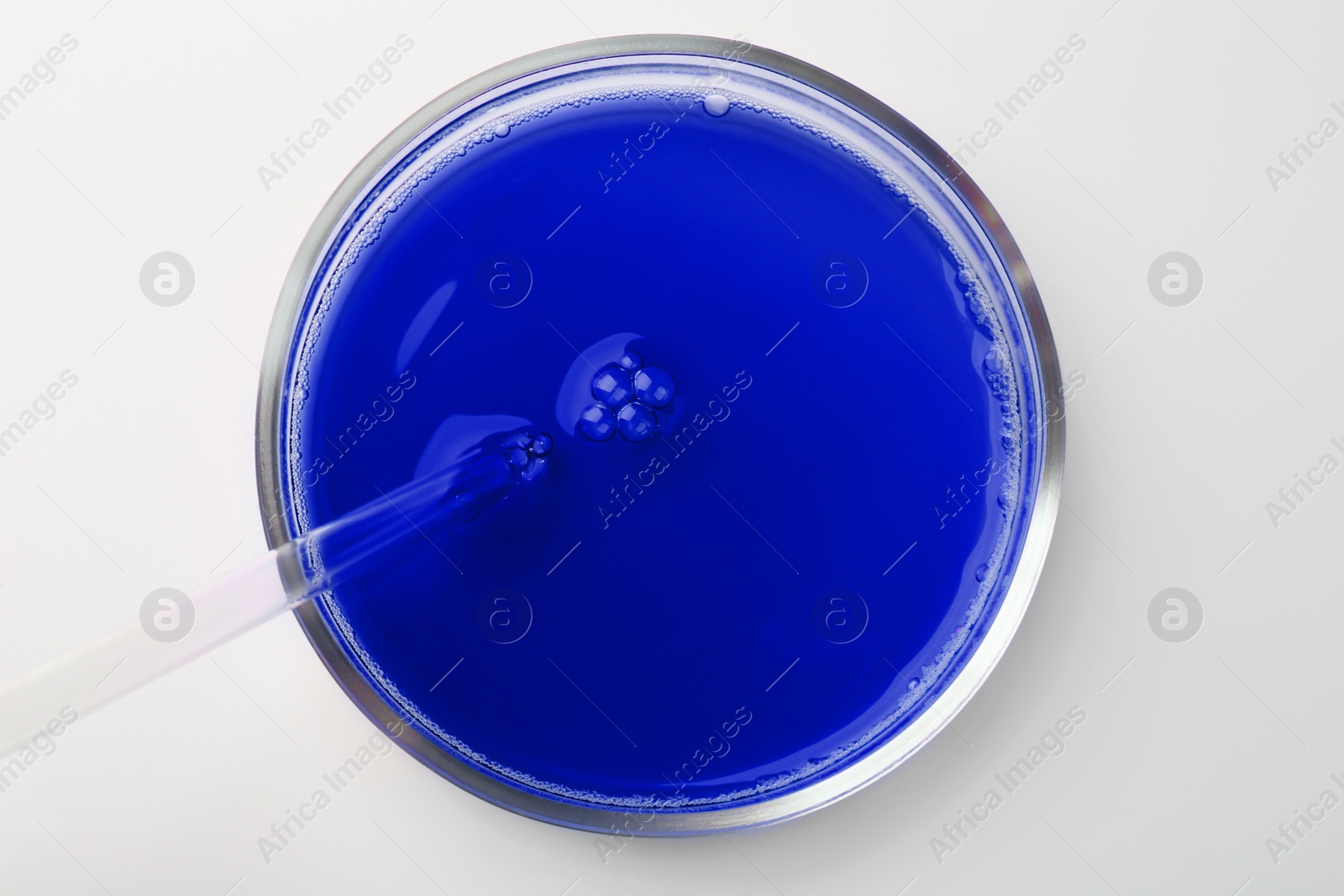 Photo of Petri dish with red liquid sample and pipette on white background, top view