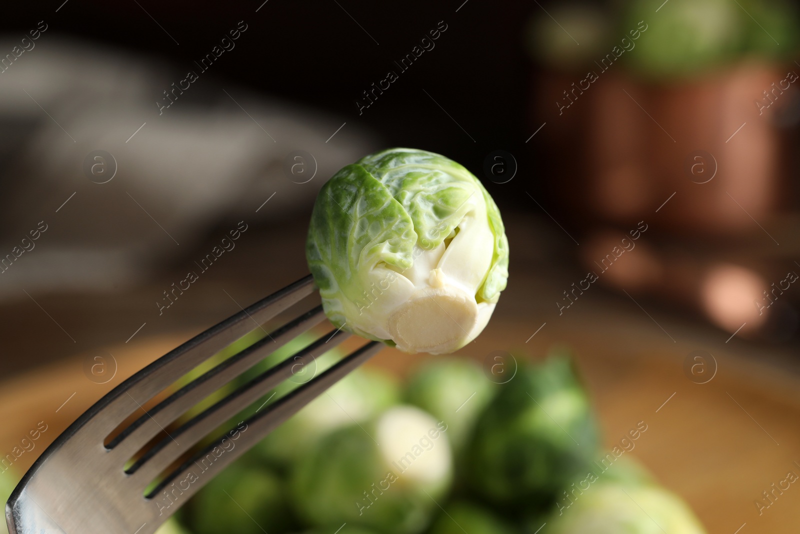 Photo of Fresh Brussels sprout on fork, closeup view