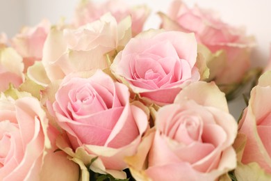 Photo of Beautiful bouquet of rose flowers, closeup view