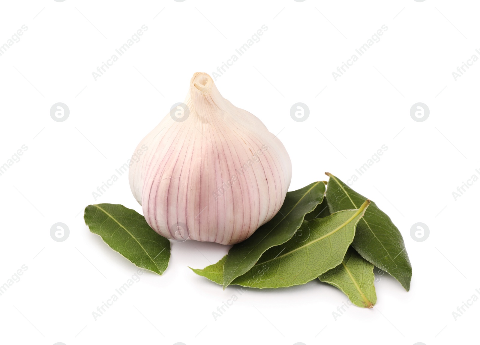 Photo of Fresh green bay leaves and garlic on white background