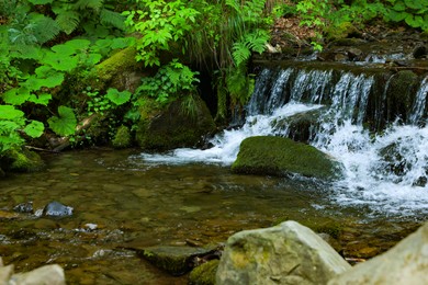 Photo of Picturesque view of river flowing near rocks in forest