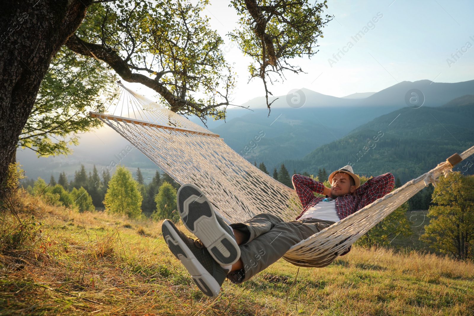 Photo of Man resting in hammock outdoors at sunset