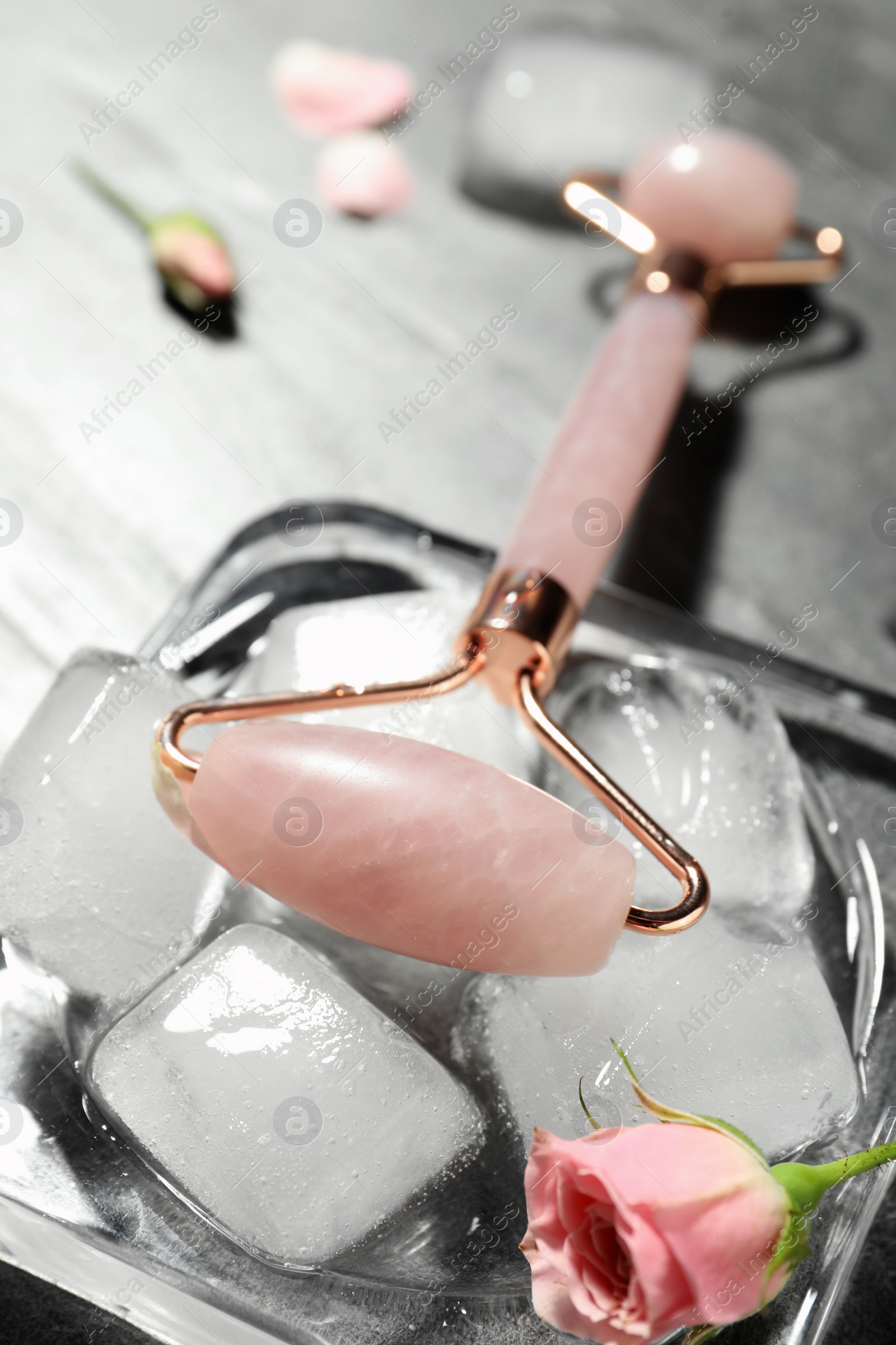 Photo of Natural jade face roller and ice cubes on grey background, closeup