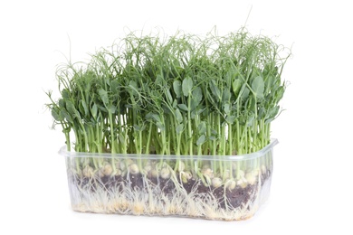 Fresh organic microgreen in plastic container on white background