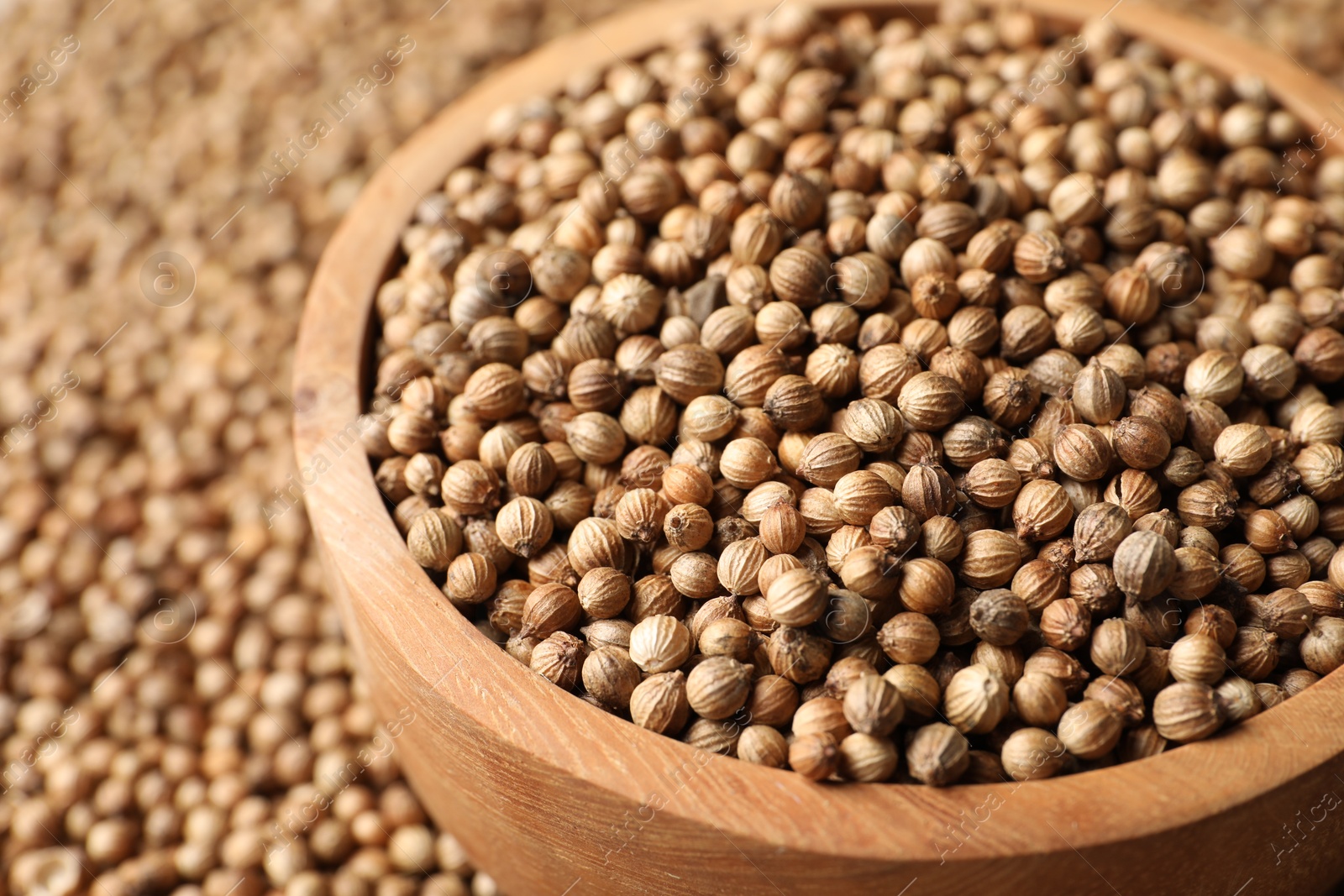 Photo of Dried coriander seeds in bowl, closeup view
