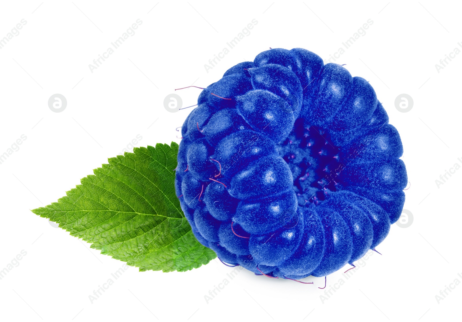 Image of Fresh blue raspberry and green leaf isolated on white