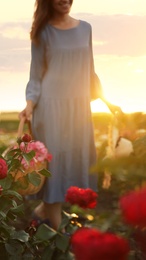 Woman with basket of roses in beautiful blooming field, closeup