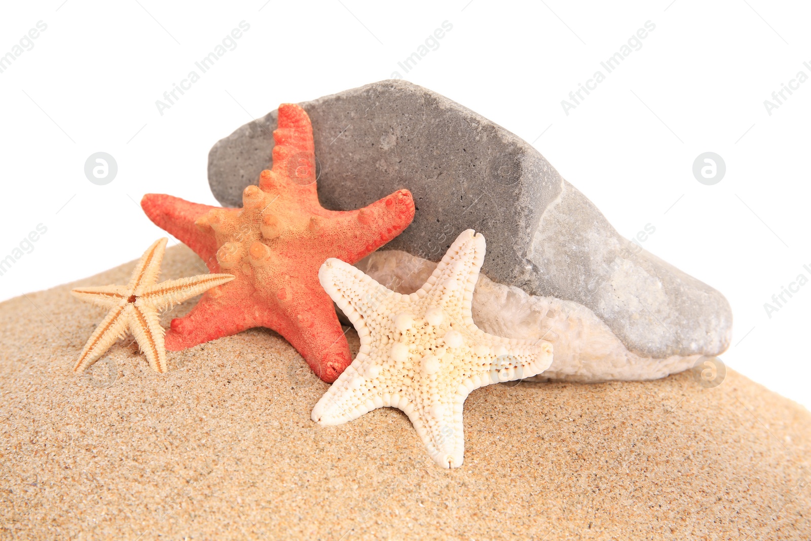 Photo of Sand with many beautiful sea stars and stone isolated on white
