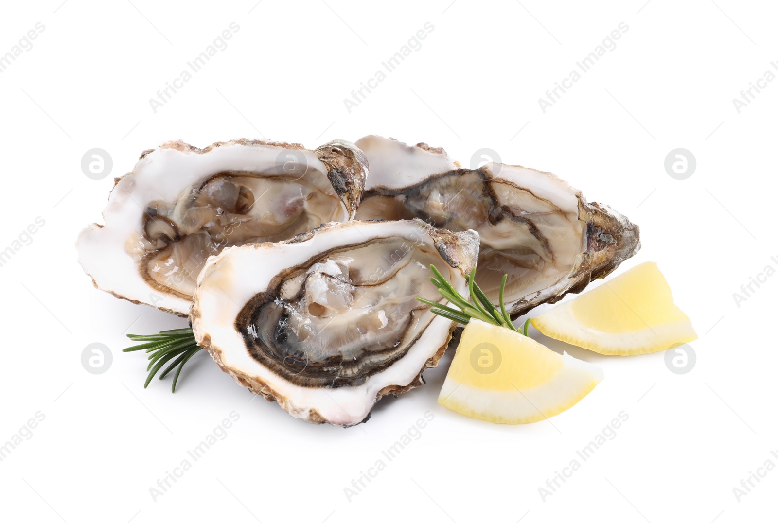 Photo of Fresh raw oysters served on white background