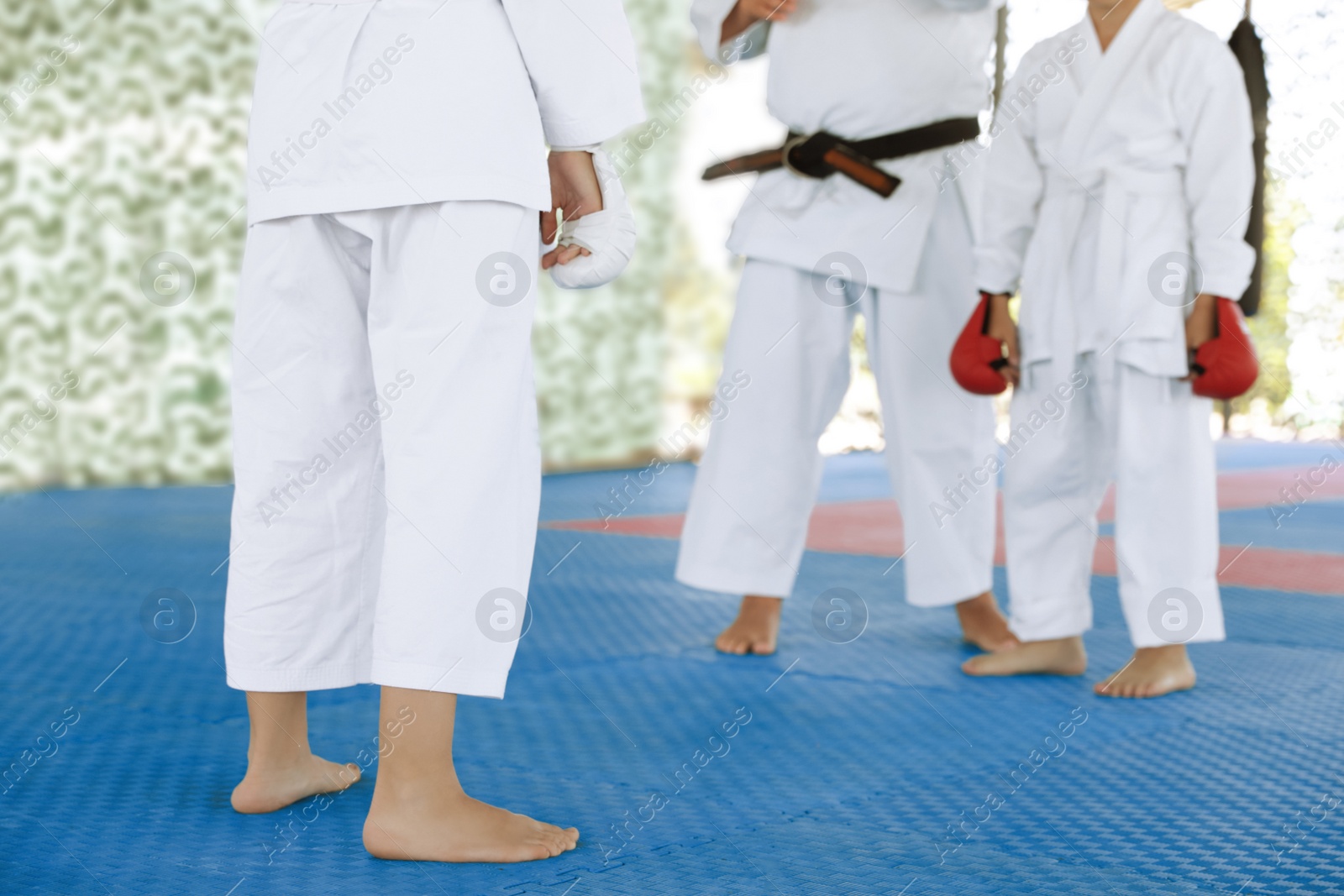 Photo of Children with coach at karate practice outdoors, closeup