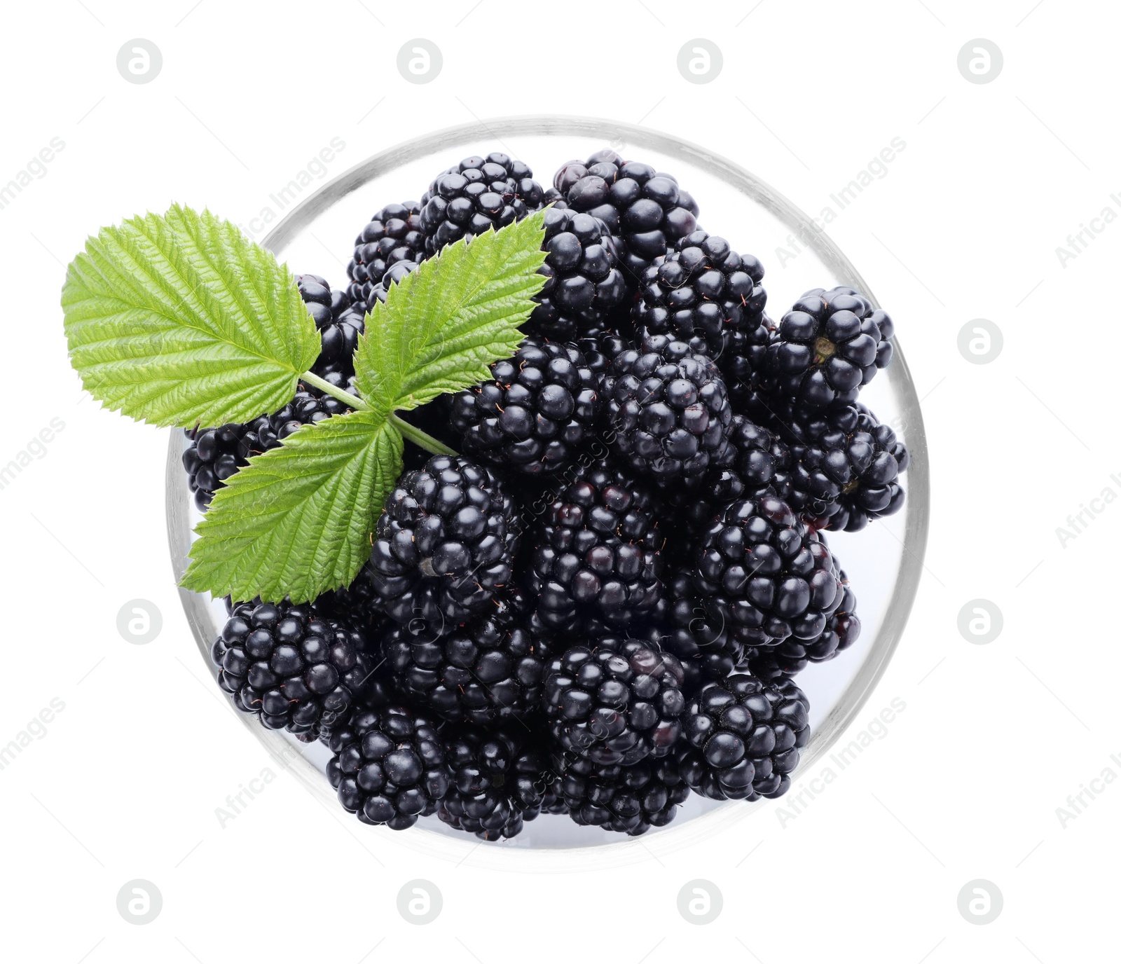 Photo of Glass bowl with ripe blackberries on white background, top view