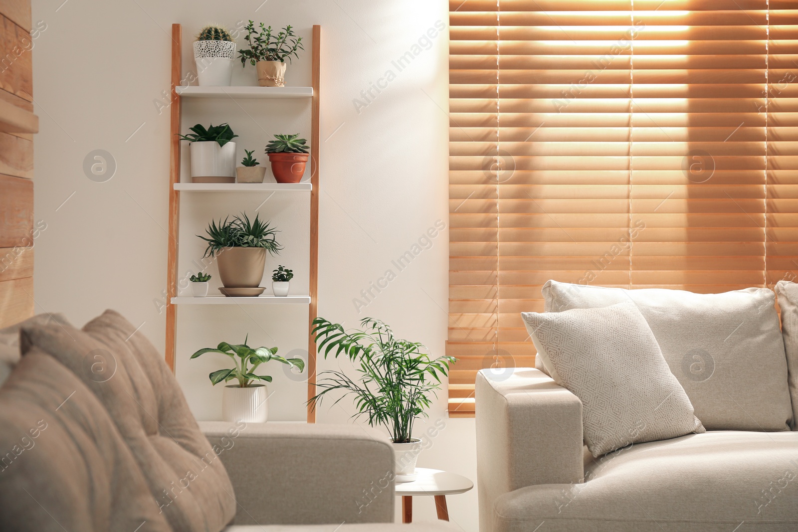 Photo of Decorative wooden ladder in stylish living room interior