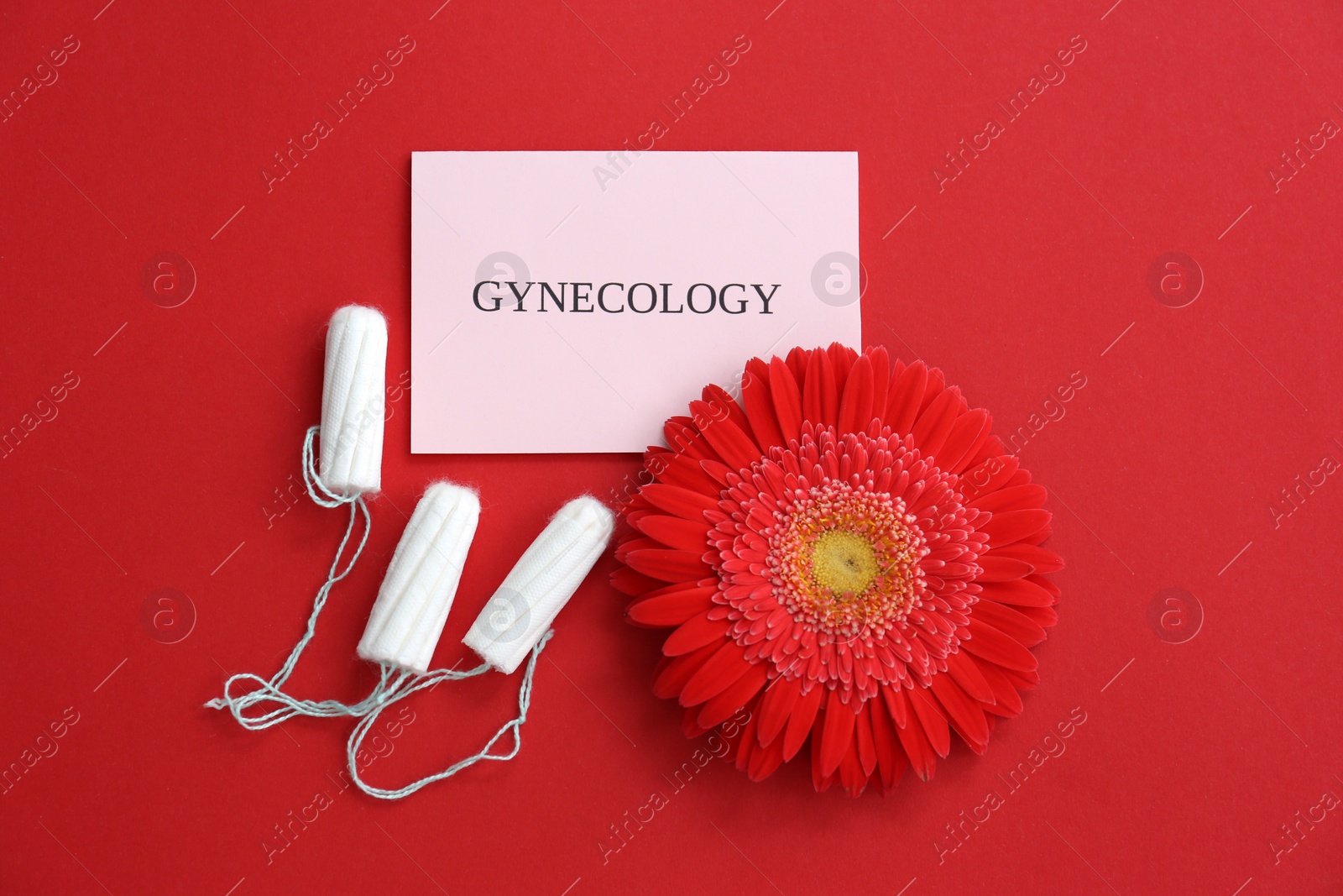 Photo of Flat lay composition with flower and tampons on color background. Gynecological care