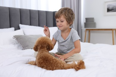 Photo of Little child and cute puppy on bed at home. Lovely pet
