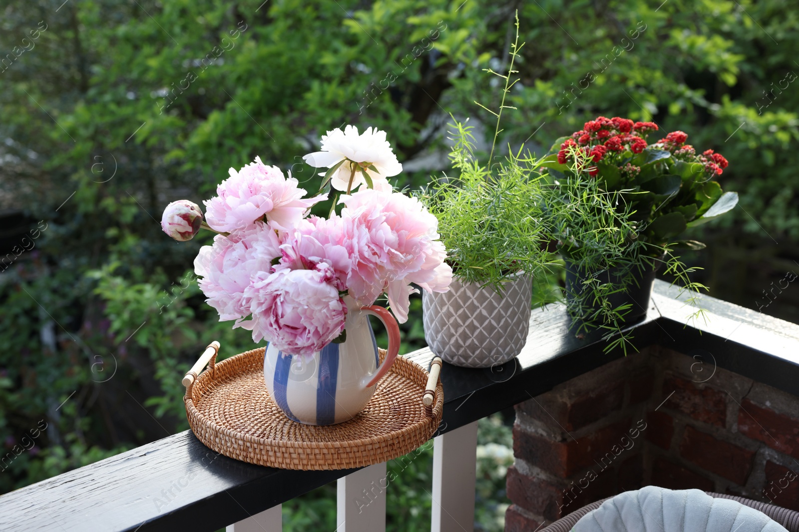 Photo of Balcony garden. Different plants growing on railings outdoors