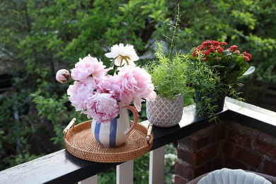 Photo of Balcony garden. Different plants growing on railings outdoors