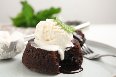 Photo of Delicious fresh fondant with hot chocolate, ice cream  and mint served on plate, closeup