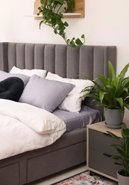 Photo of Beautiful green houseplants and bed in room. Bedroom interior