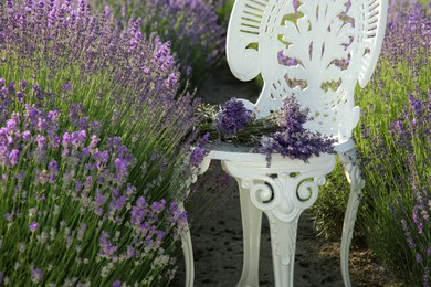 Photo of Chair with beautiful lavender flowers in field outdoors