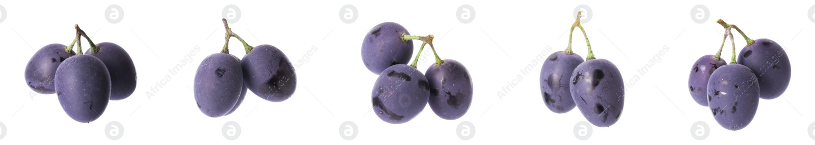 Image of Delicious fresh dark blue grapes isolated on white, set