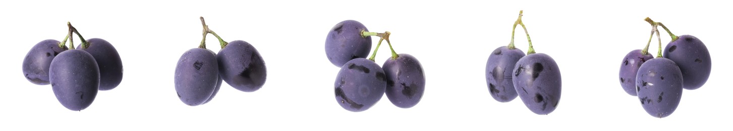 Image of Delicious fresh dark blue grapes isolated on white, set