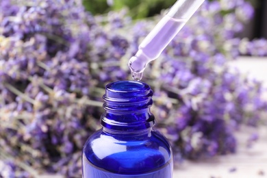 Photo of Natural essential oil dripping from pipette into bottle against lavender flowers, closeup
