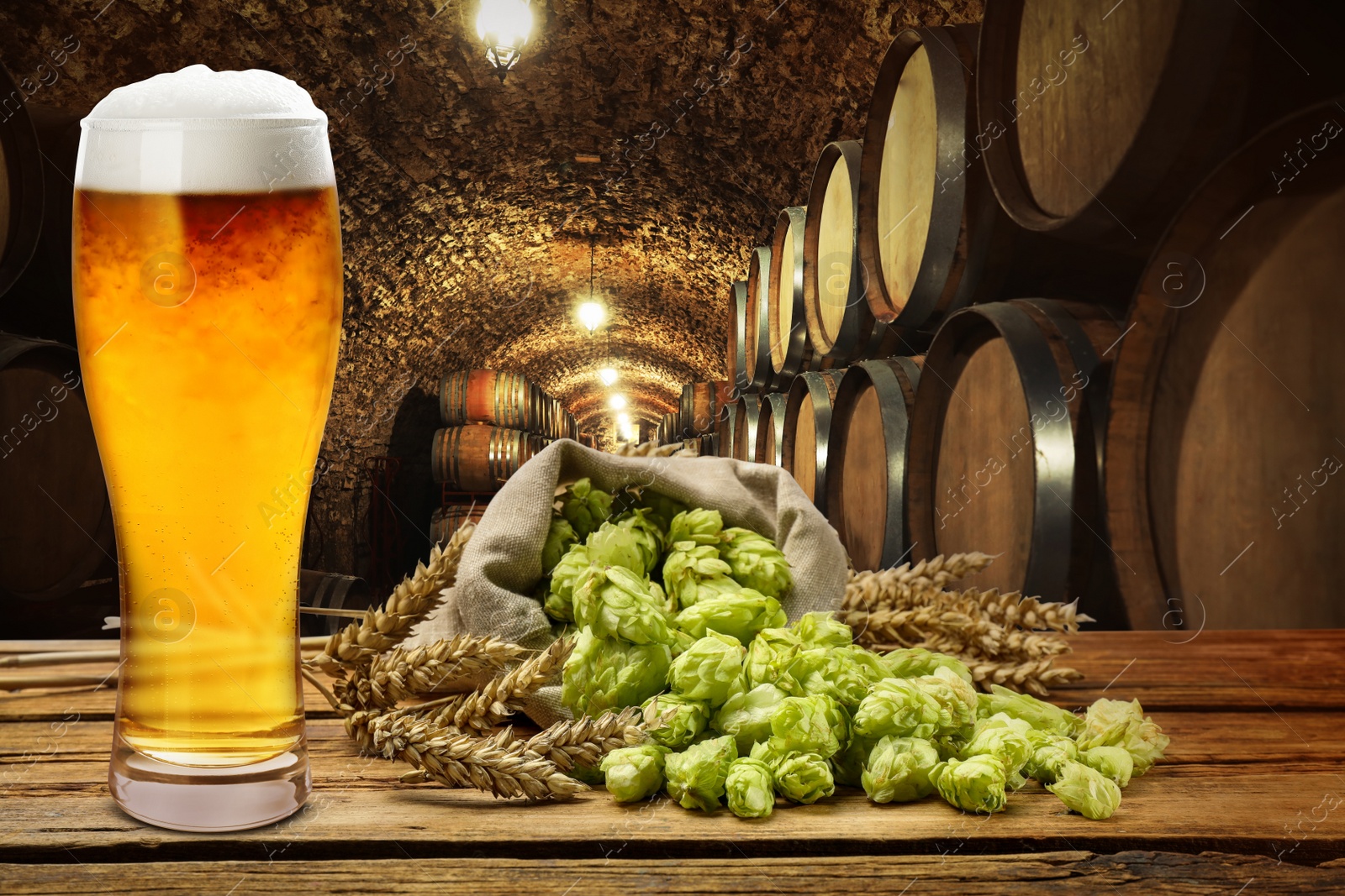 Image of Glass of tasty light beer, fresh hops and wheat spikes on wooden table in cellar