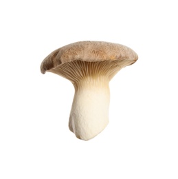 Photo of Fresh king trumpet mushroom isolated on white