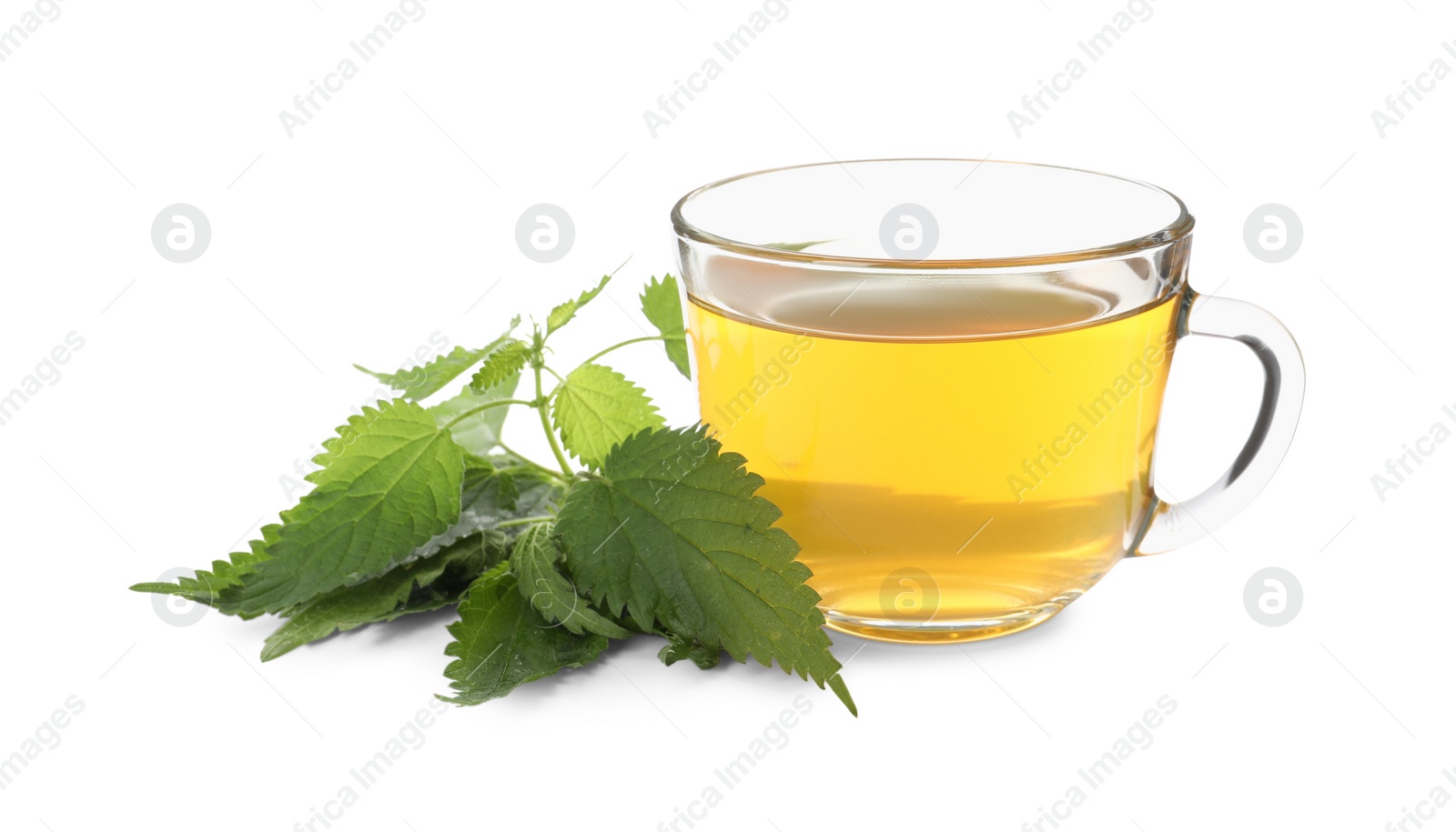 Photo of Glass cup of aromatic nettle tea and green leaves on white background