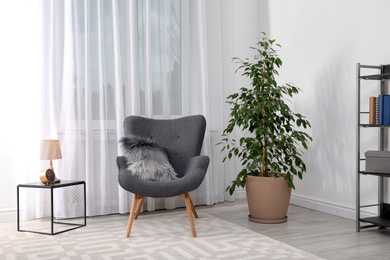 Stylish room interior with armchair and potted ficus