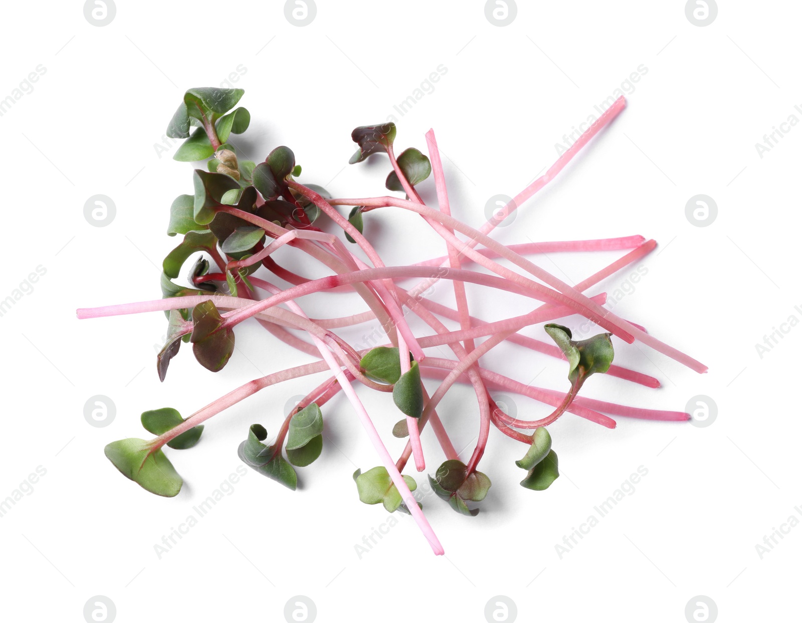 Photo of Heap of fresh organic microgreen on white background, top view