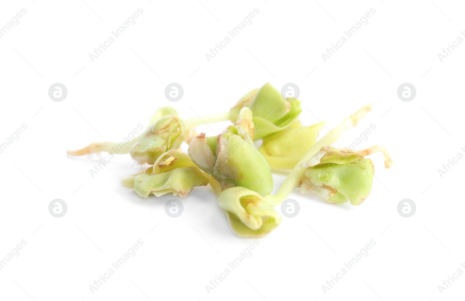 Photo of Sprouted green buckwheat grains isolated on white