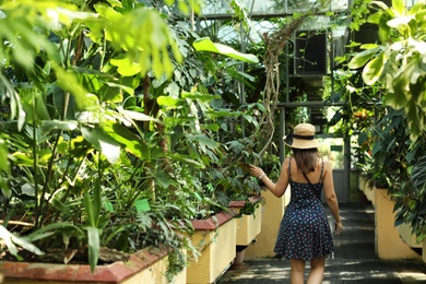 Woman walking among exotic plants in greenhouse