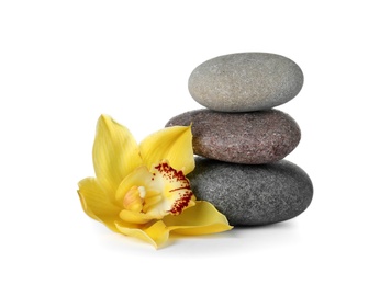 Photo of Spa stones and beautiful orchid on white background