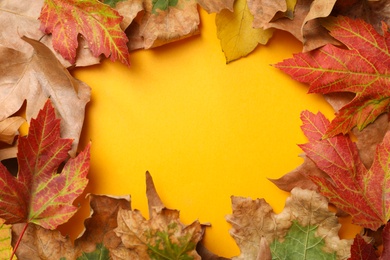 Frame of colorful autumn leaves on yellow background, flat lay. Space for text
